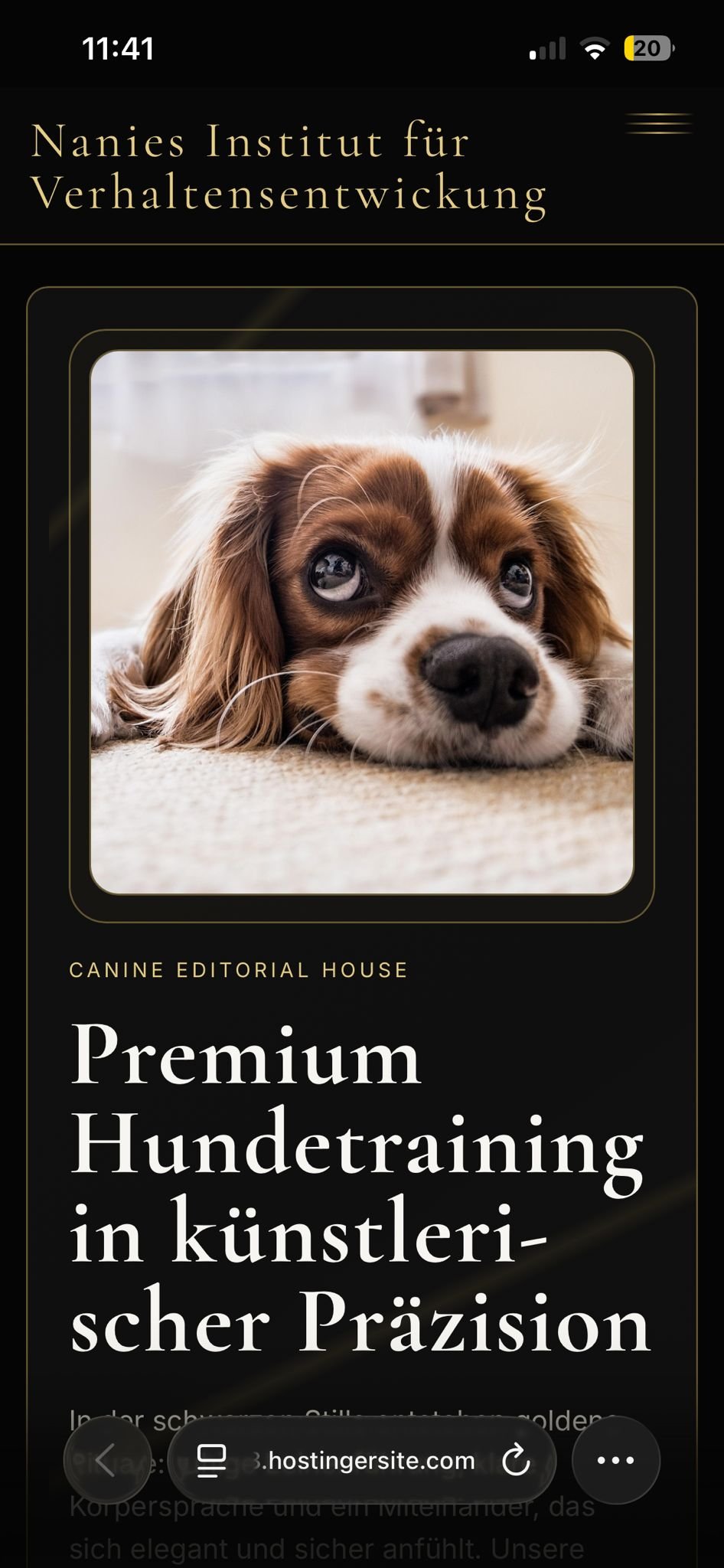 Projektvorschau Mobile